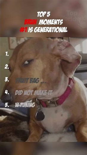 Top 5 Bruh Moments That Will Make You Say 🤯