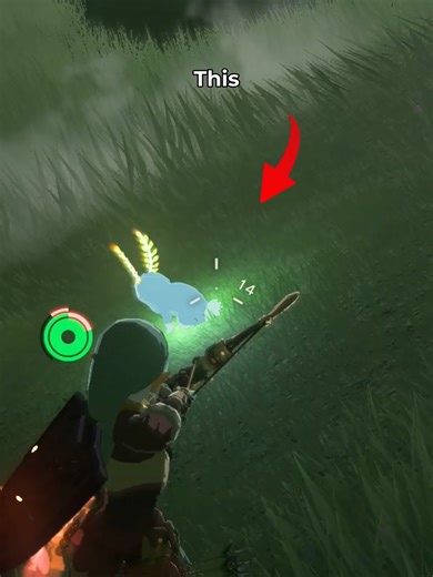 Blupee Rupee Farm #fypシ #gaming #nintendo #nintendoswitch #zelda #tearsofthekingdom #totk #botw