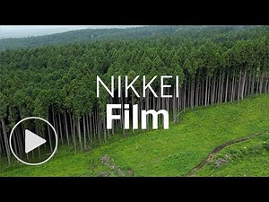 Five times stronger than steel: Japan's new 'wood' | Nikkei Film