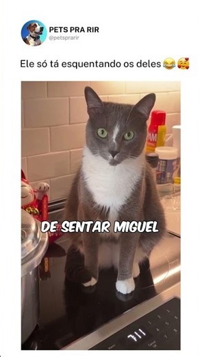 Ele só tá esquentando os deles❤️🐶