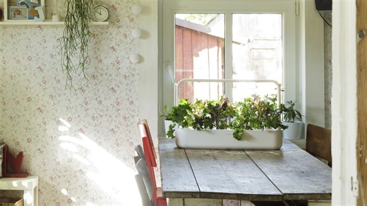 How to use tech in the garden and still keep your serenity