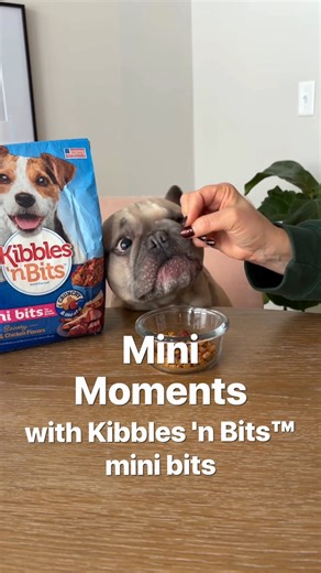 Crunch. Sniff. Repeat. | Kibbles 'n Bits