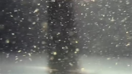 活力满满的团子鱼，游动太可爱了～