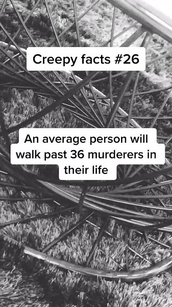 Marcus Carnovale on TikTok