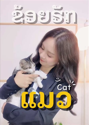 ไอไลท์ แคท แปลว่าอะไร — ความหมายภาษาอังกฤษของ “ไอไลท์แคท”