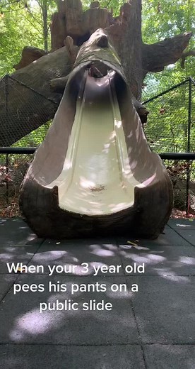 Toddler Pee Accident on Public Slide | Mom of the Year Moment