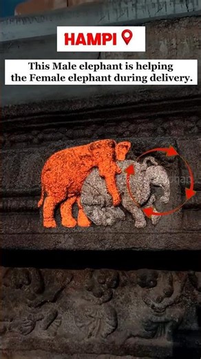 Amazing animal behaviour carved in ANCIENT TEMPLE.