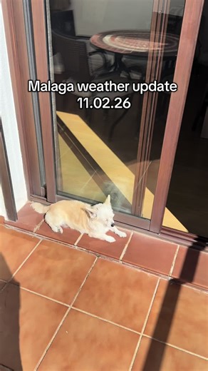 A little weather update from balcony this morning. Kiwi is back to herself laying out in the sun🐕 😂👏☀️#malaga #spain #fyp #españa #livinginspain