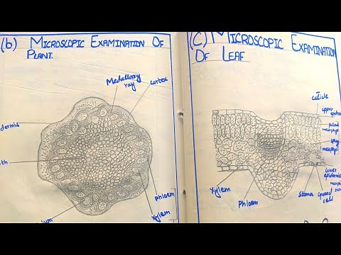 BIOLOGY|| CLASS 9 || Solved Practical Notebook📚 of BIOLOGY 🧬👨‍🔬🦠🧪🧫