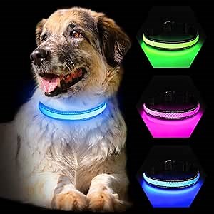 Light Up Dog Collar, LED Dog Collar USB Rechargeable,Super Bright Lighted Dog Glow Collar for Dogs, Dog Collar Lights for Night Walking,Blue,Small