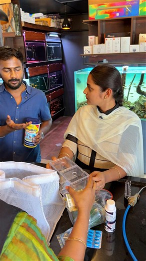 இத வச்சி Breeding Farm ஆரம்பிக்கலாம் #breeding #fish #aquarium #cloningaqua #aquariumfishmarket