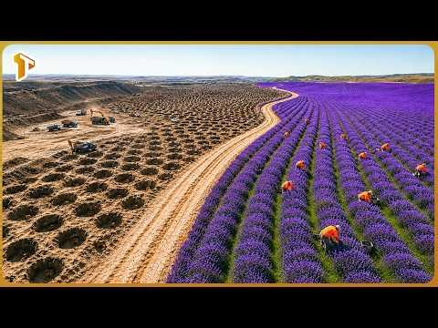 How U S Is Turning Thousands of Abandoned Coal Mines Into High Tech Farms