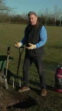 This Trick Tells You Exactly How Deep to Plant Any Tree