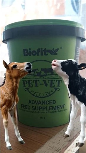 biofit pet vet advanced feed supplement (cfcplus)