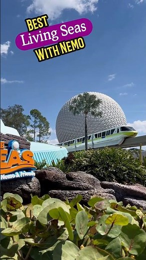 Best! Living Seas with Nemo! EPCOT! Disney World! #disney #disneyworld #nemo