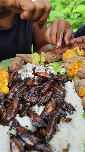 spicy adubong pusit #adubongpusit #sinugbangbaboy #kinilawnaburaw #labster #tktokreels #lechonmukbang #seacucumber #niceview