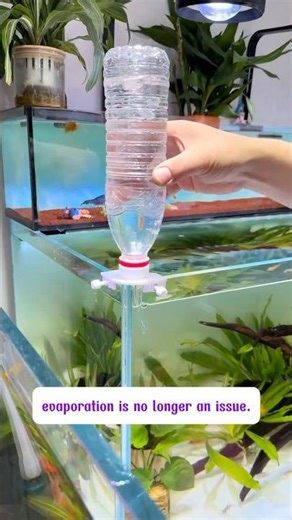 Beat Summer Evaporation with This Auto Top Off! ☀️💧 #Aquarium #AutoTopOff #FishTank #AquariumCare