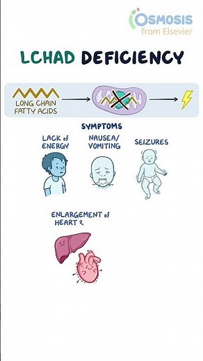 LCHAD Deficiency