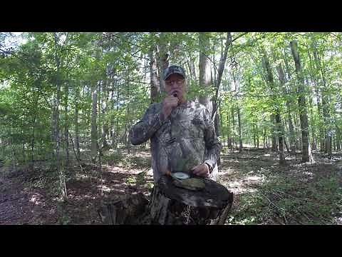 Kee-kee Turkey Call Demo
