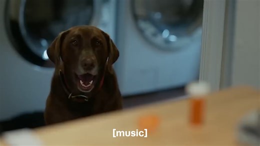 8.1K views · 13 reactions | Keep medications safely stored in a locked cabinet or box and out of the reach of children. Keep medicines in their original child-resistant containers and never in unsecured containers. Properly discard unfinished or unused medicines. | U.S. Consumer Product Safety Commission | Facebook