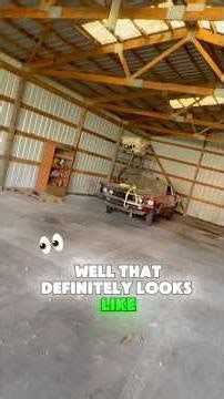 ‘69 Mustang Mach 1 or None