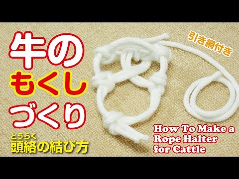 牛のもくしの作り方 頭絡の結び方 / How To Make a Rope Halter for Cattle