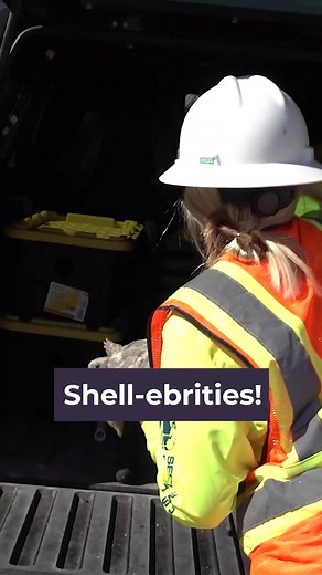 ICYMI! ✨ Here’s what you may have missed this week at JEA: - Gopher tortoises 🐢 JEA crews safely found and relocated four protected gopher tortoises with help from FWC. https://jea.fyi/47XbiwO - Senior Day is almost here, and we’re spotlighting one of our partners: REVAMP. https://jea.fyi/485Yp3Y - And at Gen WOW, JEA’s Chief Customer Experience Officer shared a heartfelt letter he wrote to his granddaughters with a room full of middle and high school students. https://jea.fyi/4pvNV51 #ICYMI #B