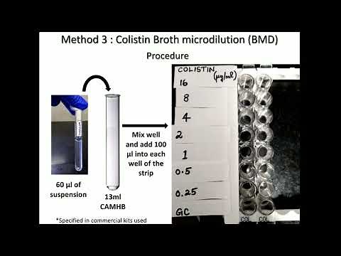 COLISTIN TESTING III BMD