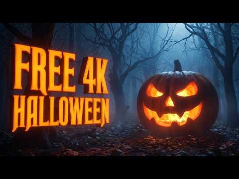 Halloween Visuals: 4K Stock Footage for Your Projects
