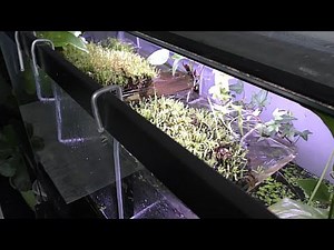 Aquarium Plants Holders DIY