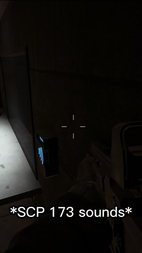 I'm easily scared ok...#horror #scp #scpsl #meme #gaming #fyp