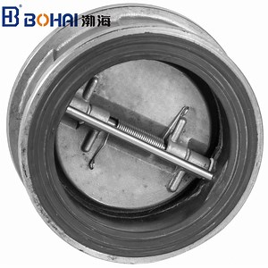 [Hot Item] Wafer Check Valve