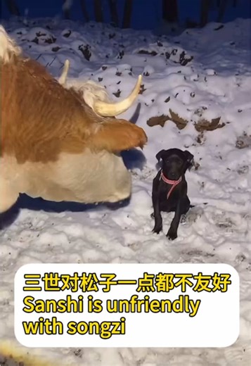 三世对松子的冷漠态度分析