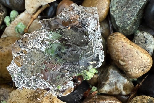 Return of the blobs: SW Washington revisited by decades-old gooey mystery