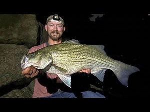 Chasing BIG Gamefish in Pittsburgh's 3 Rivers