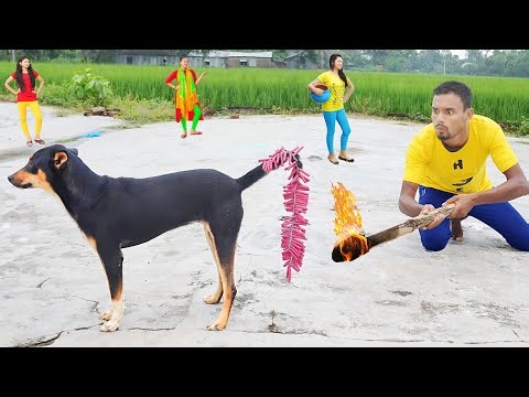 Very Special Trending Funny Comedy Video 2025 😂Amazing Comedy Video 2025 Episode 23 mahal masati