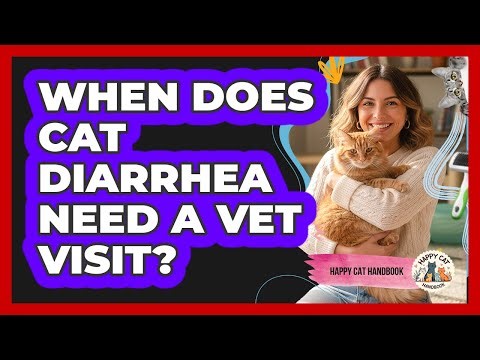 When Does Cat Diarrhea Need A Vet Visit?