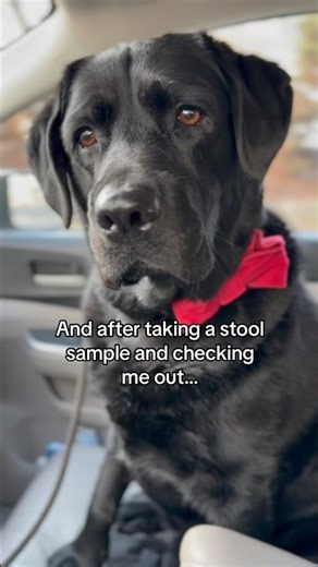 King Clarence has not been feeling well 🥺