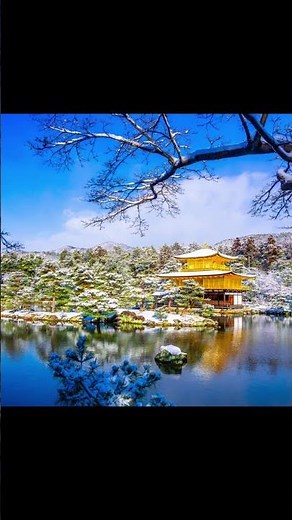 ✨ Kinkaku-ji Golden Pavilion in Kyoto | Japan’s Shimmering Temple of Gold 🏯🌸