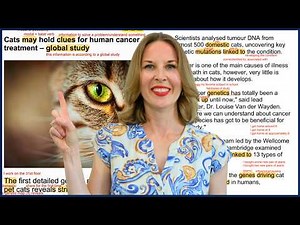 If You Can Understand This Article from CNN, Your English is Excellent!