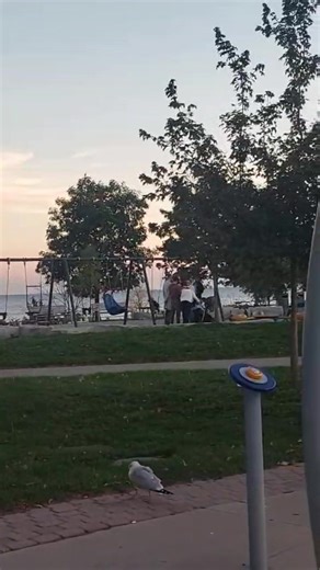 Splash pad and playground 🇨🇦 This is a splash pad and playground for kids by the lake. #playground #splashpad #LakeViewPark #goodtimes #FamilyFun #natureloversforlife #vlogger #oshawa #ontariocanada #PinoyInCanada #smallcontentcreatorhere #sheiladalagantarkowski | Sheila Dalagan Tarkowski