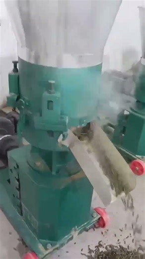 Animal Feed Pellets Production Line | Complete Process from Feeding to Final Pellets