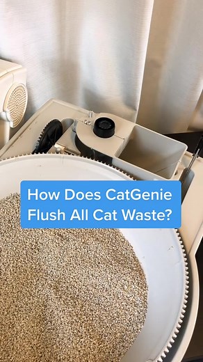 CatGenie: The Ultimate Self-Cleaning Litter Box for Your Feline Friend