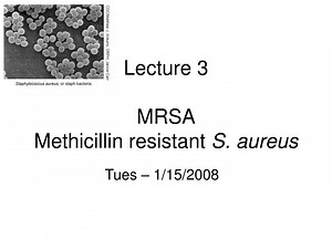 Lecture 3 MRSA Methicillin resistant S. aureus - SlideServe