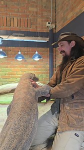 He wants hugs! The beautiful Komodo Dragon at Ballarat Wildlife Park wanted to give Kane a hug mid shoot. #WILD #Conservation #Australia #komododragon #lizard #giant #ecologist #wildlife #animallover #reptile | Wild Conservation