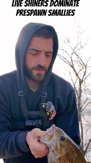 "Big Smallmouth Fishing: The One Live Bait You Need." #bassfishing