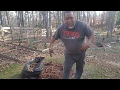 Making Leaf Mold Bag It And Forget It 🍁🍂