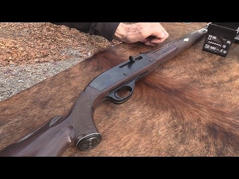 Remington Nylon 66 .22 LR