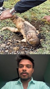 Alien 👽 | Tasty Bestie