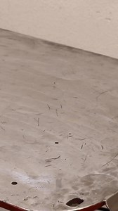 21K views · 175 reactions | Handy DIY Idea with Old Flapper Disk!!! #diy #tools #tech #make #best #new | AX Creates | Facebook